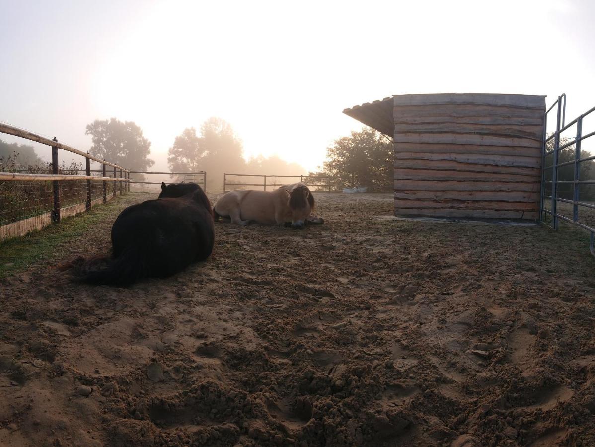 발트에크 Belroki Ranch 아파트 외부 사진